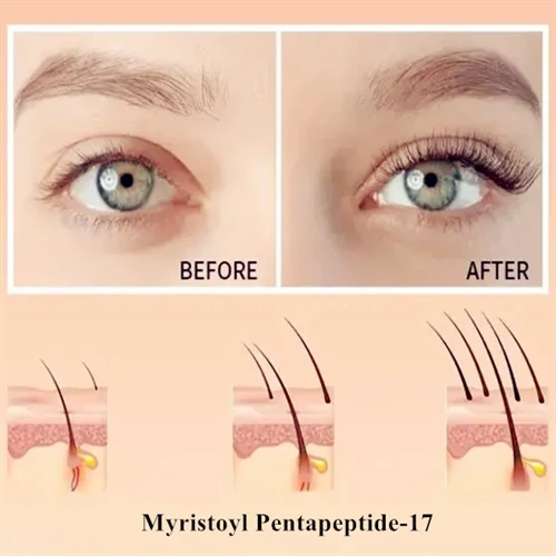 Myristoyl Pentapeptide-17: চোখের দোররা বৃদ্ধির জন্য গোপন অস্ত্র